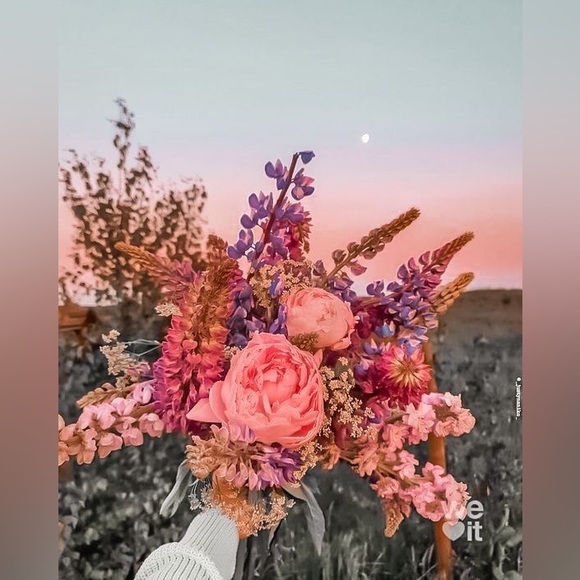 ~Lila - Picture 5 of 12